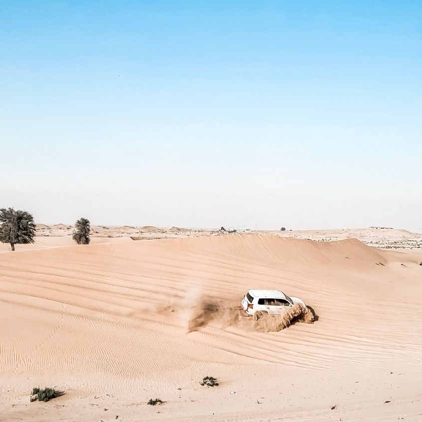 Dune Bashing mit Emirates Tours in Abu Dhabi