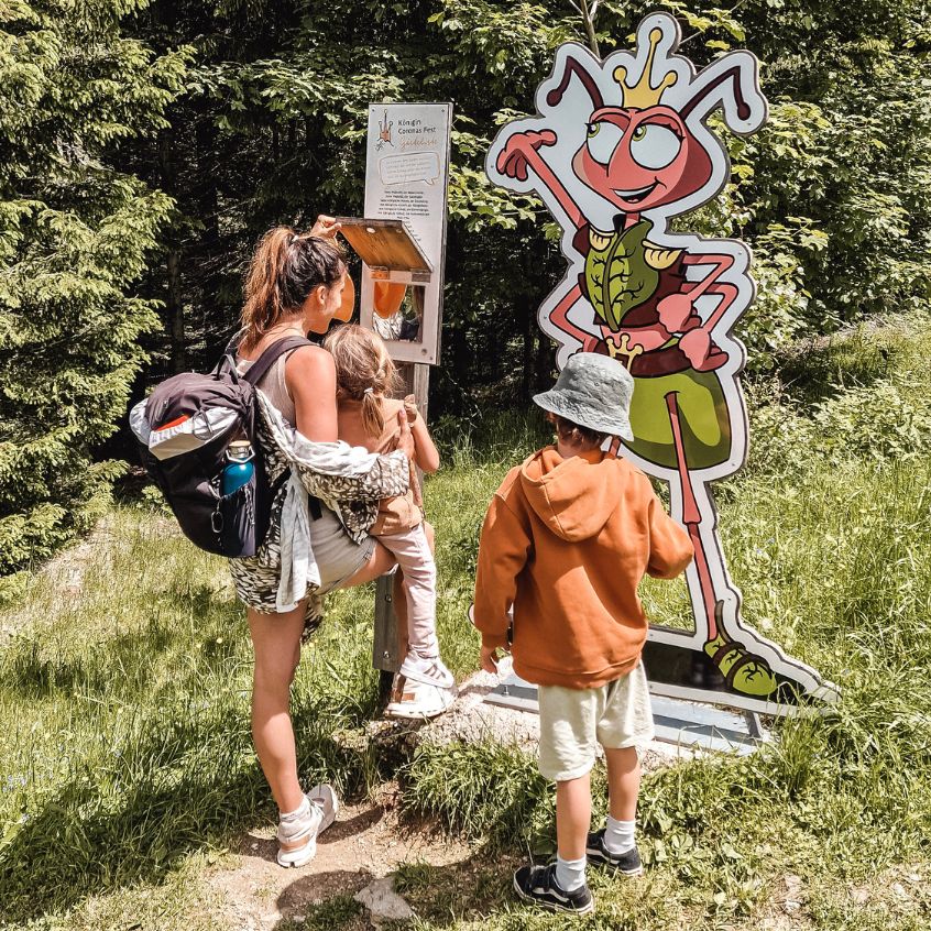 Ameisenpfad St. Corona Wandern Kinder