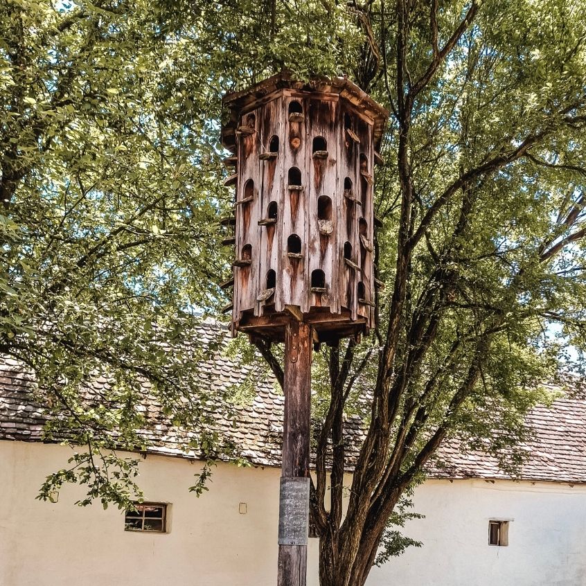 Schaugarten Museumsdorf Niedersulz NÖ-Card