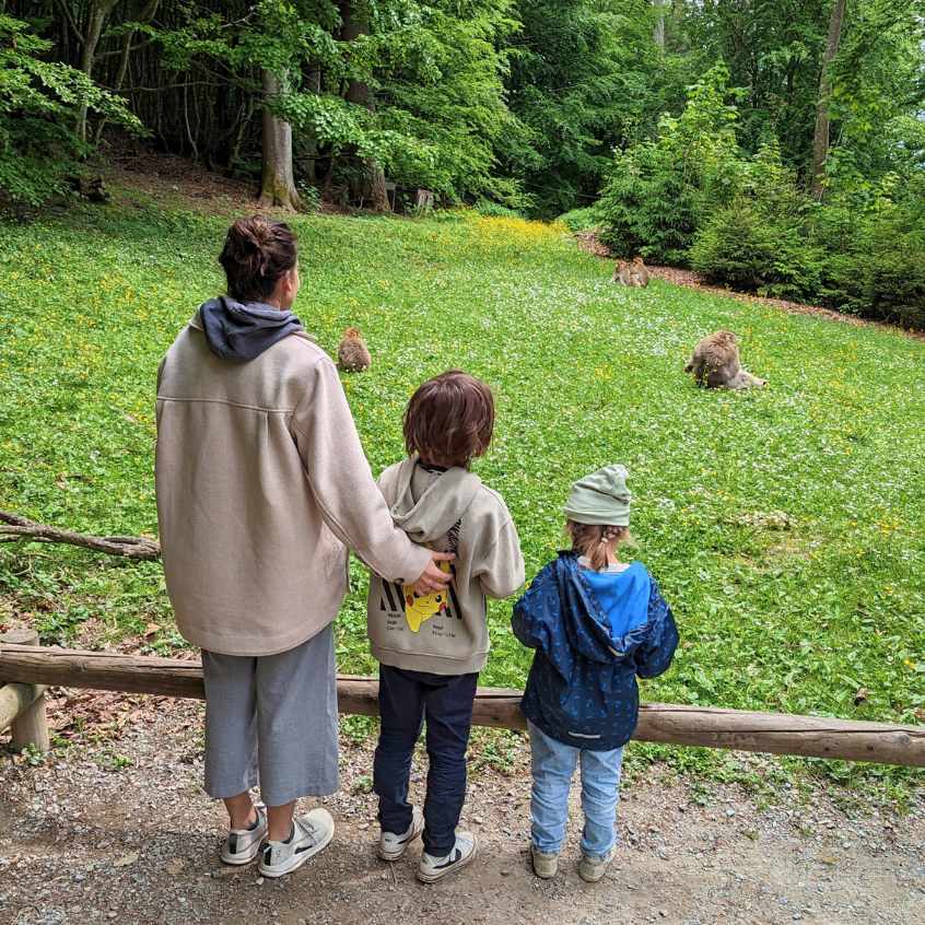 Baden Württemberg Affenberg Salem 