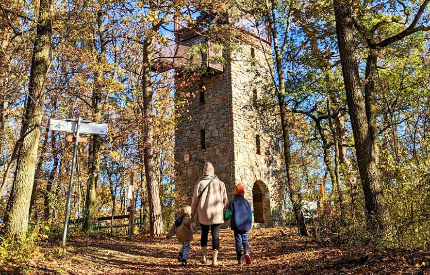 Walderlebnisweg Hollabrunn Wandern mit Kindern Niederösterreich