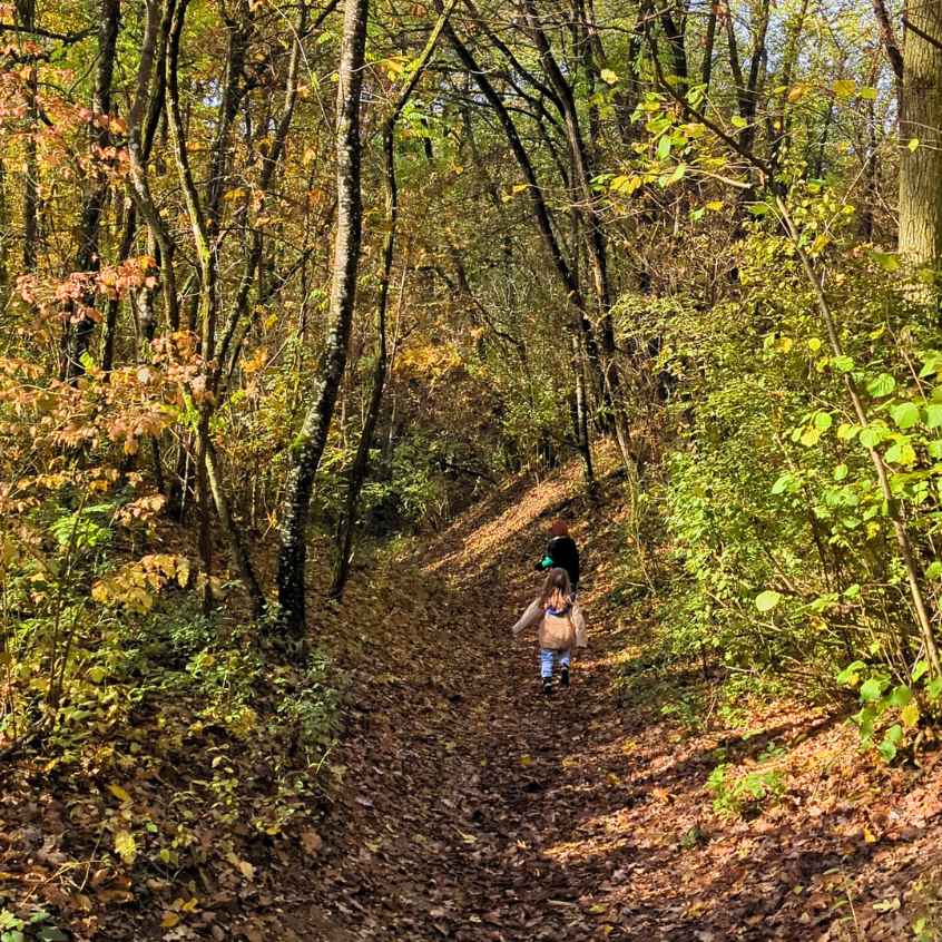 Walderlebnisweg Hollabrunn Wandern mit Kindern Weg