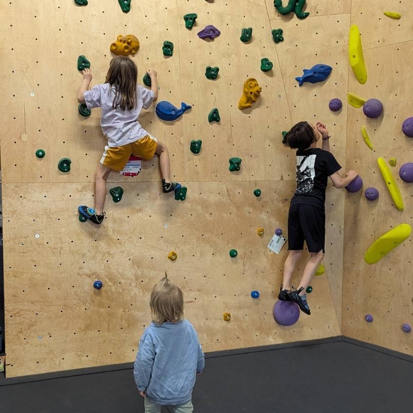 Wiener Neustadt mit Kindern Indoor Ausflugsziel Big Boulderwall