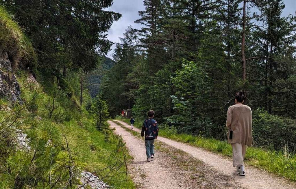 Naturpark NOe Eisenwurzen Wandern mit Kindern Schaueckrunde