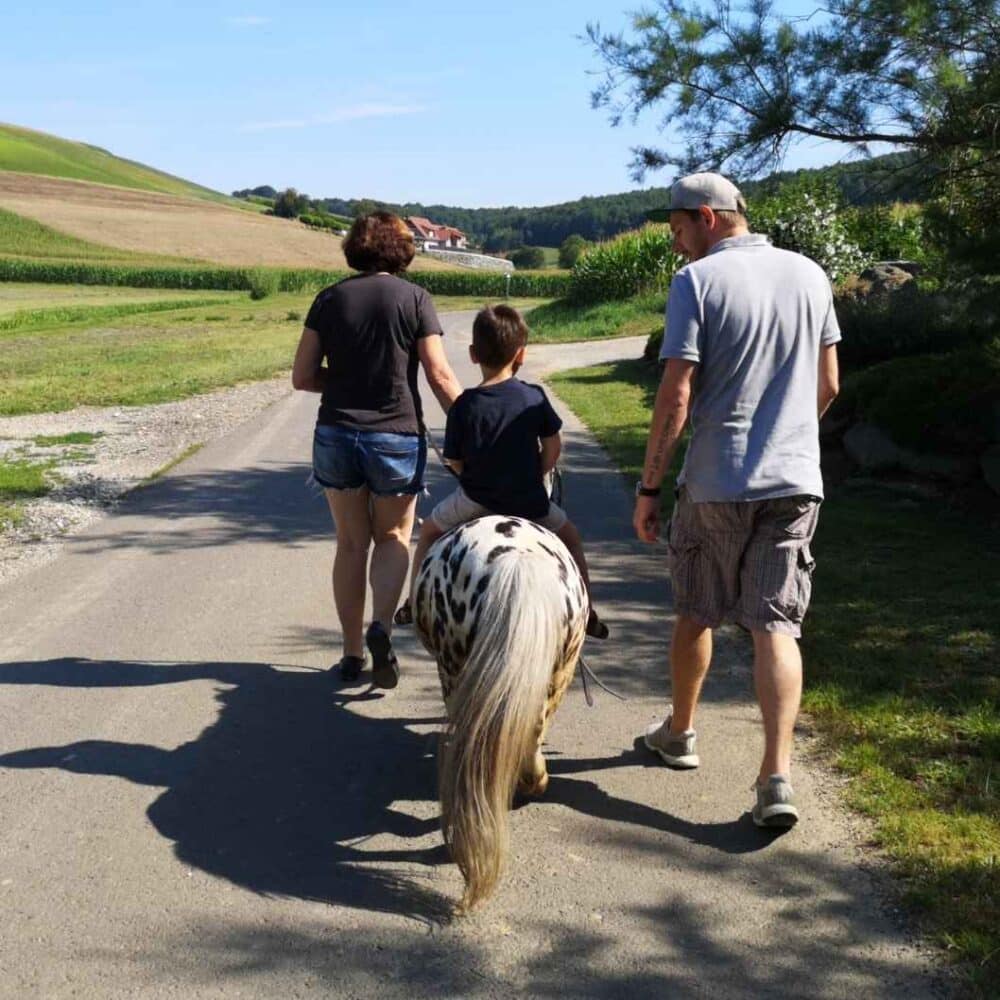 Günstiger Bauernhofurlaub mit Kindern in Österreich