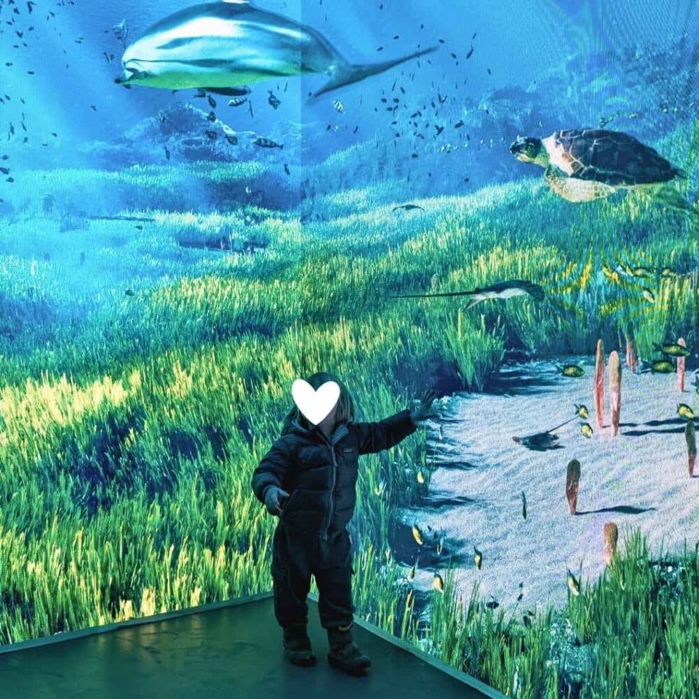 Europa Park mit Kindern Themenbereich Monaco Aquarium