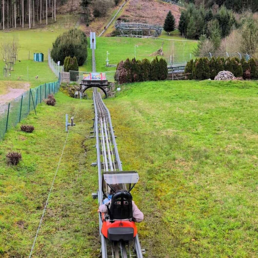 Sommerrodelbach Gutach im Schwarzwald