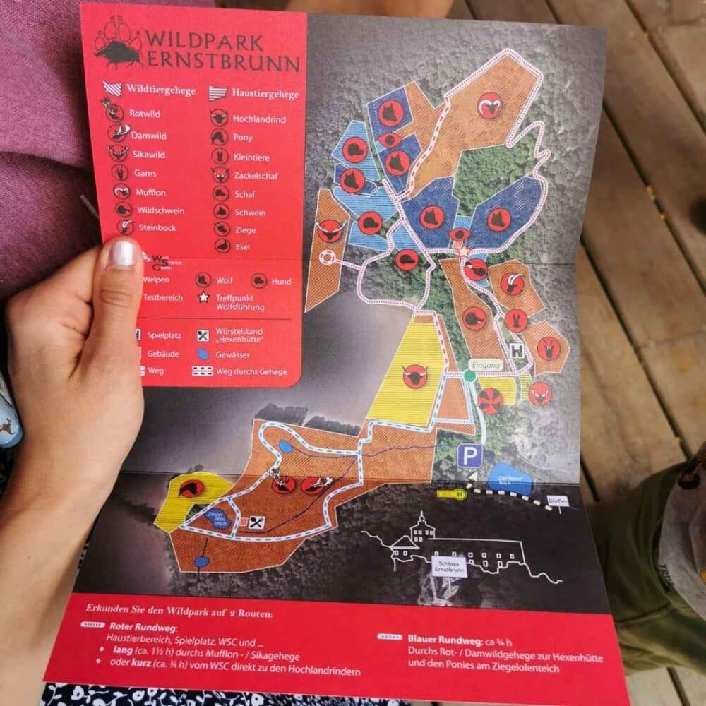 Wildpark Ernstbrunn mit Kindern