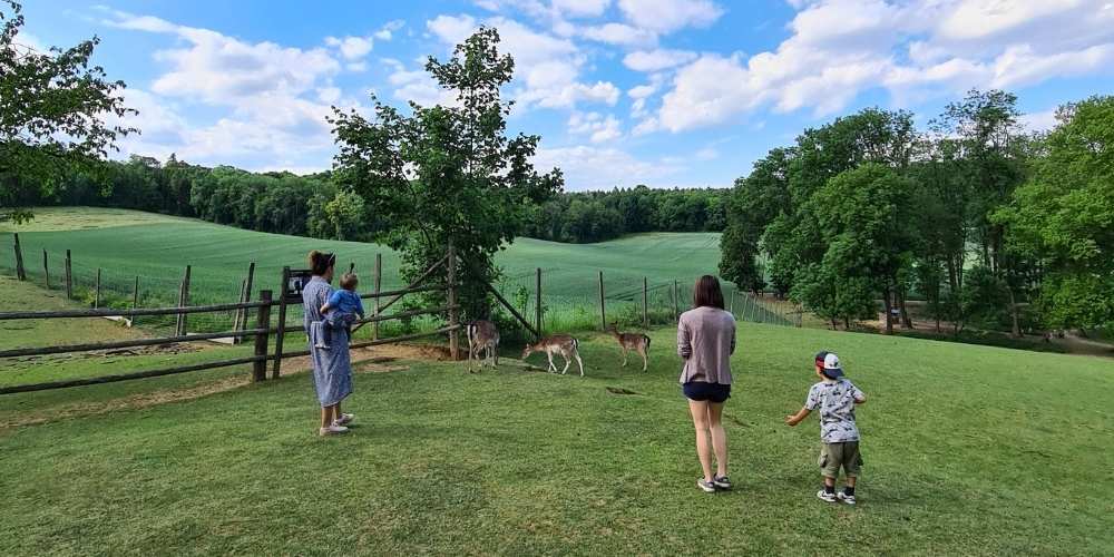 Wildpark Ernstbrunn mit Kindern Erfahrungen