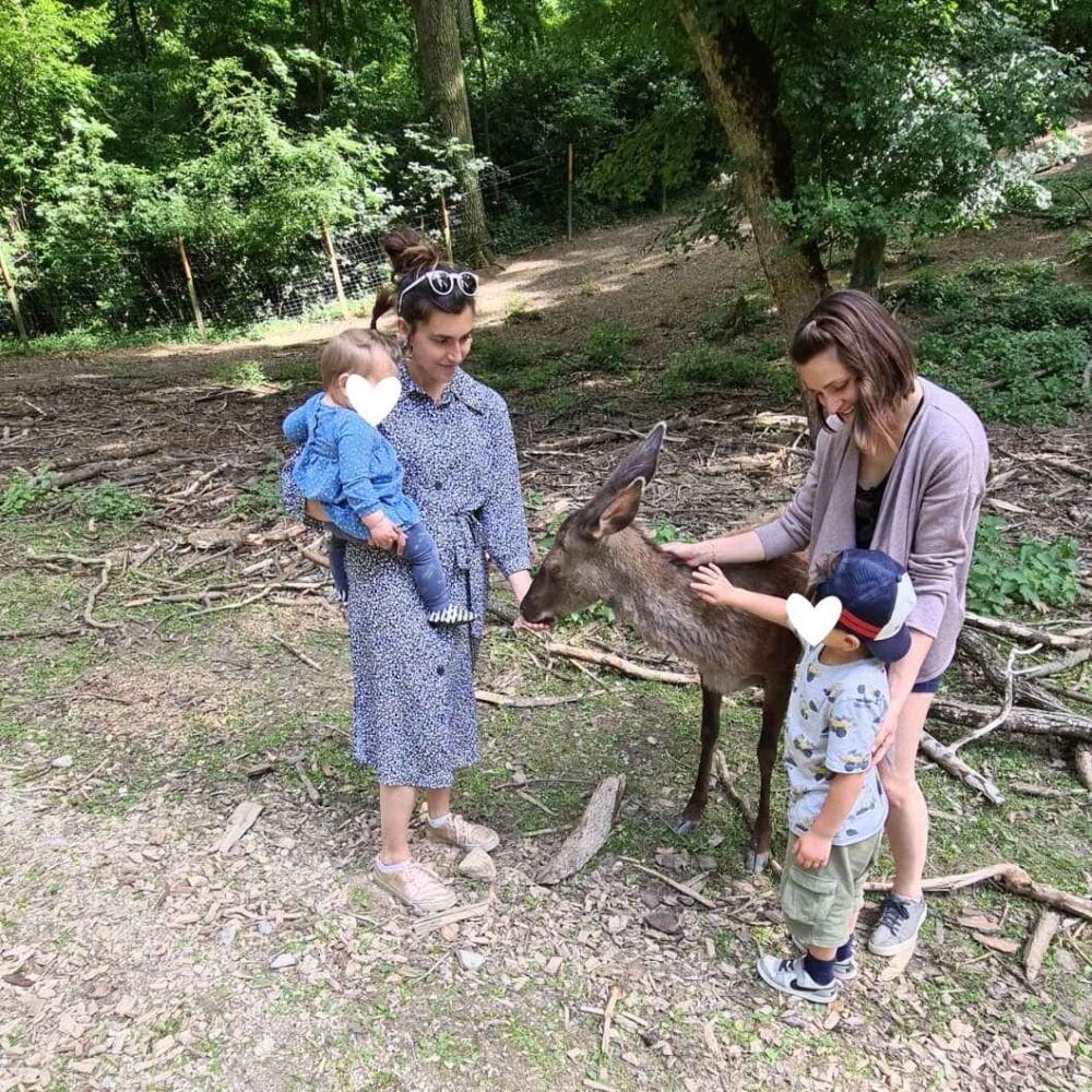 Wildpark Ernstbrunn mit Kindern Rehe