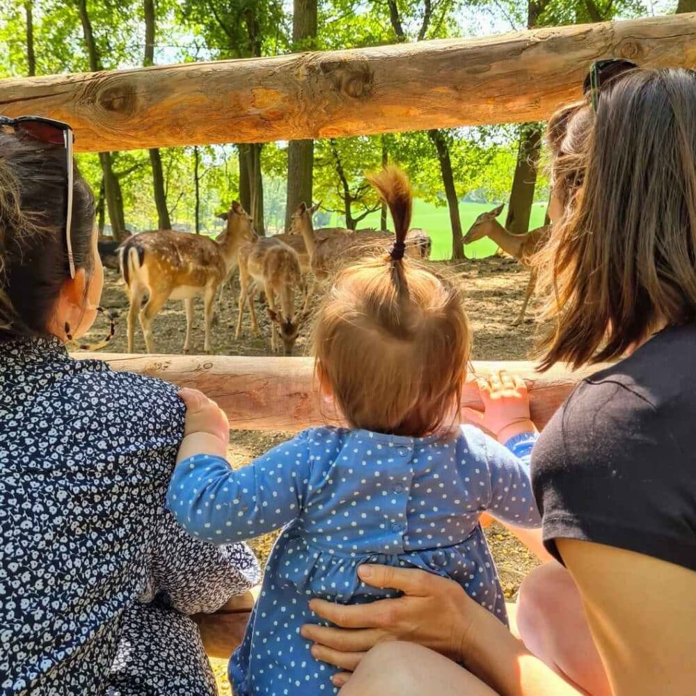 Wildpark Ernstbrunn mit Kleinkind