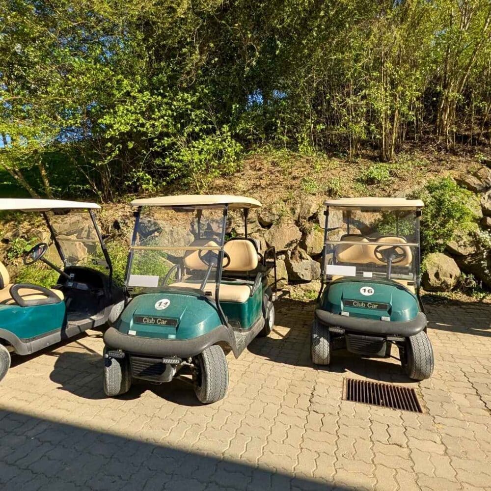 Wildpark Hochrieß Lodges Goflwagen