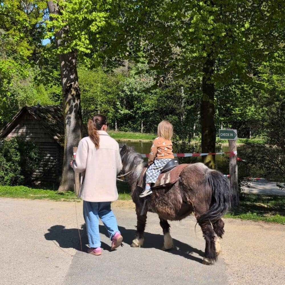 Wildpark Hochrieß Ponyreiten Kleinkind