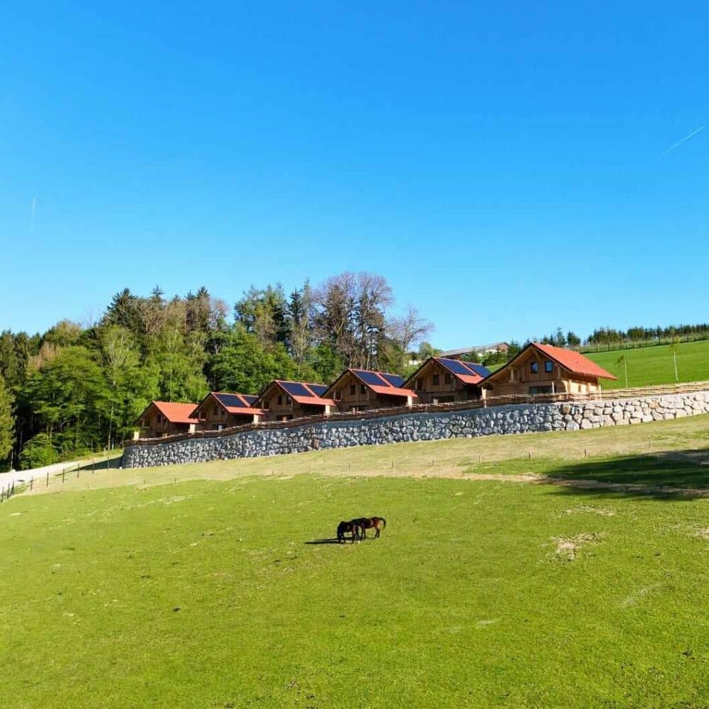 Wildpark Lodge Hochrieß